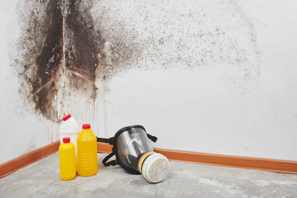 Best Residential Mold Removal  in Mvern, AL