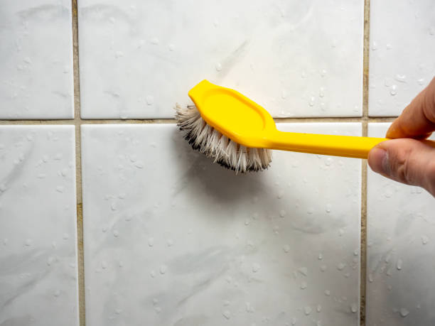 Professional Mold Removal in Malvern, AL
