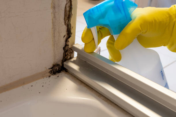 Mold Testing and Removal in Malvern, AL