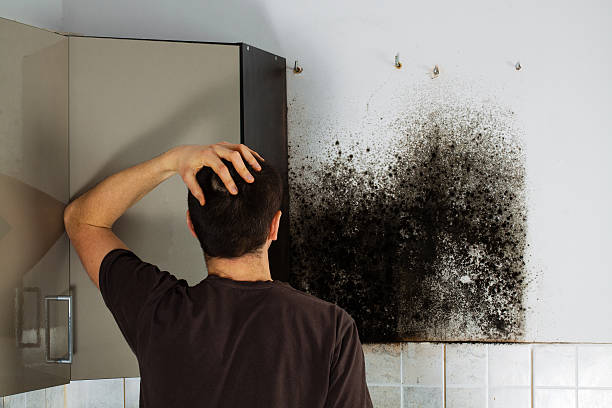 Certified Mold Removal in Malvern, AL